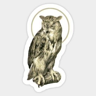 owl on the tree Sticker